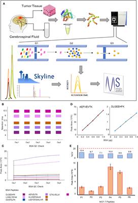 Multiple Reaction Monitoring-Based Targeted Assays for the Validation of Protein Biomarkers in Brain Tumors